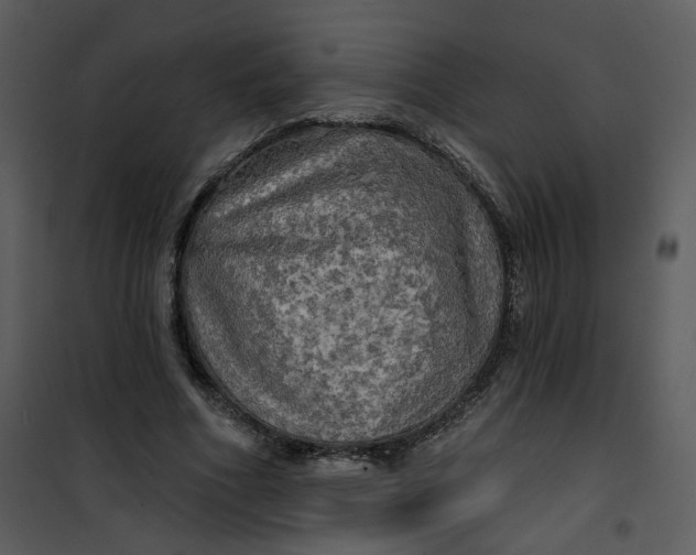 X0000101160586200807181401
