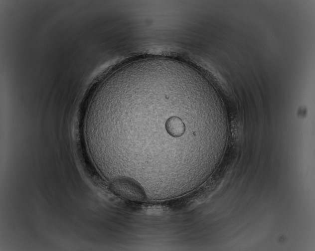 X0000101160587200807181401