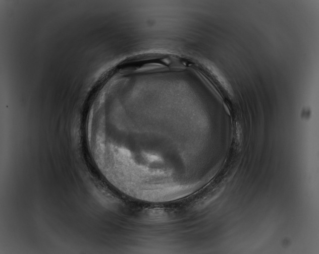 X0000101160588200807181401