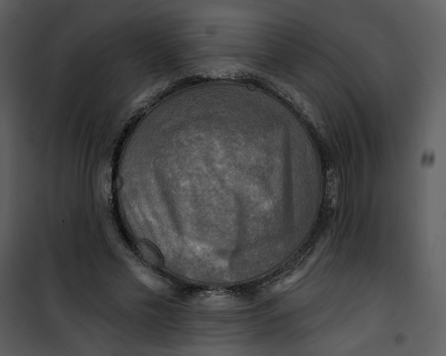 X0000101160589200807181401
