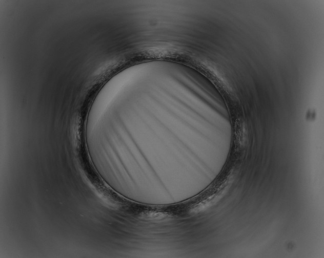 X0000101160590200807181401