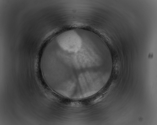 X0000101160591200807181401