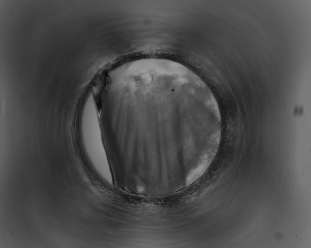 X0000101160592200807181401