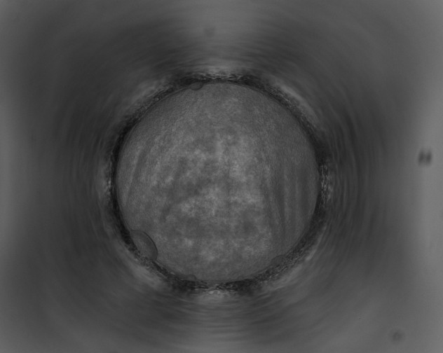 X0000101160593200807181401