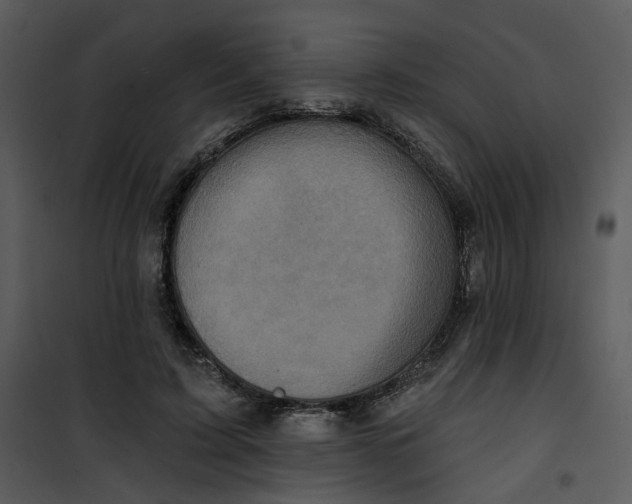 X0000101160595200807181401