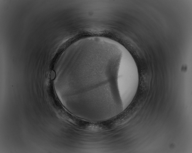 X0000101160596200807181401