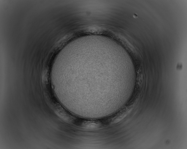 X0000101160597200807181401
