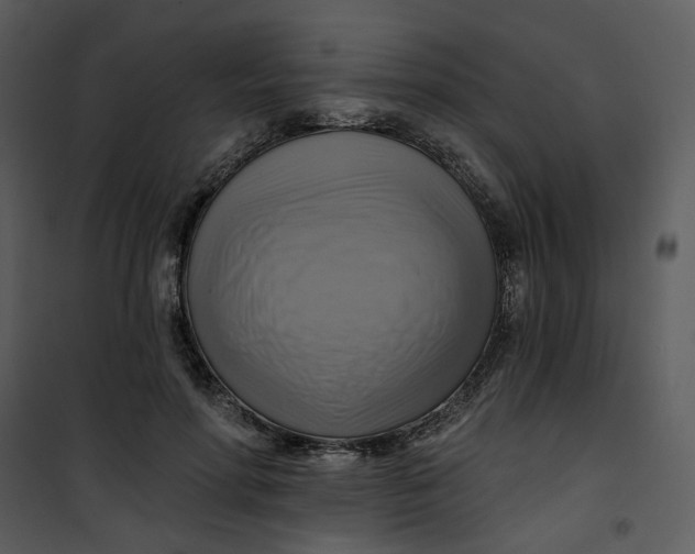 X0000101160598200807181401