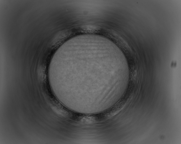 X0000101160599200807181401