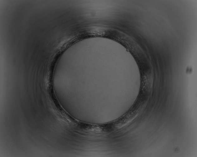 X0000101160600200807181401