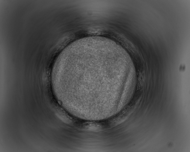 X0000101160601200807181401