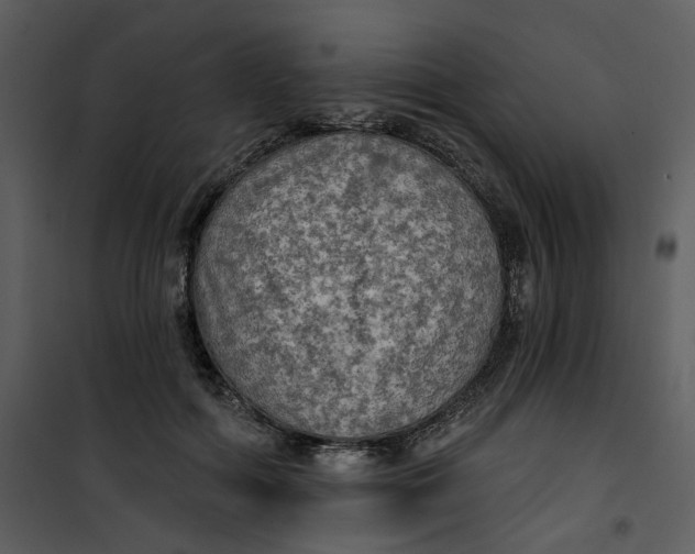 X0000101160602200807181400