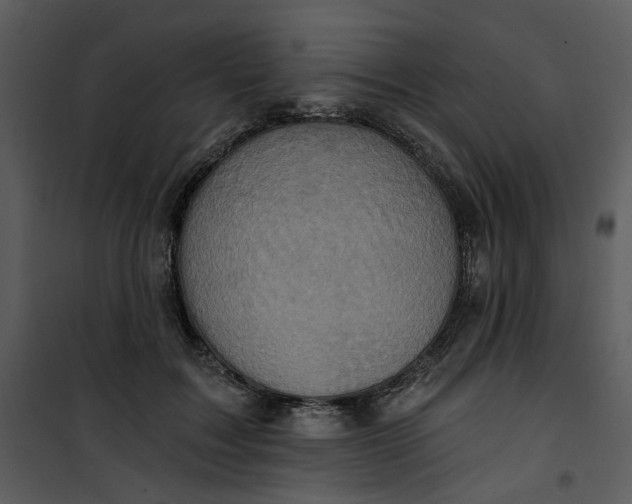 X0000101160603200807181400