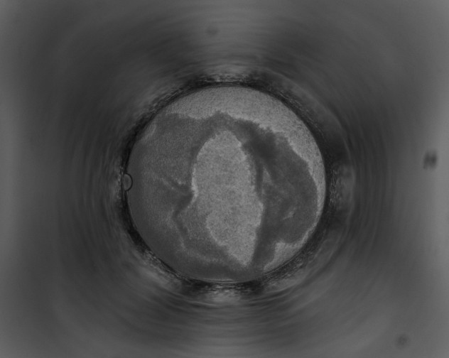 X0000101160604200807181400