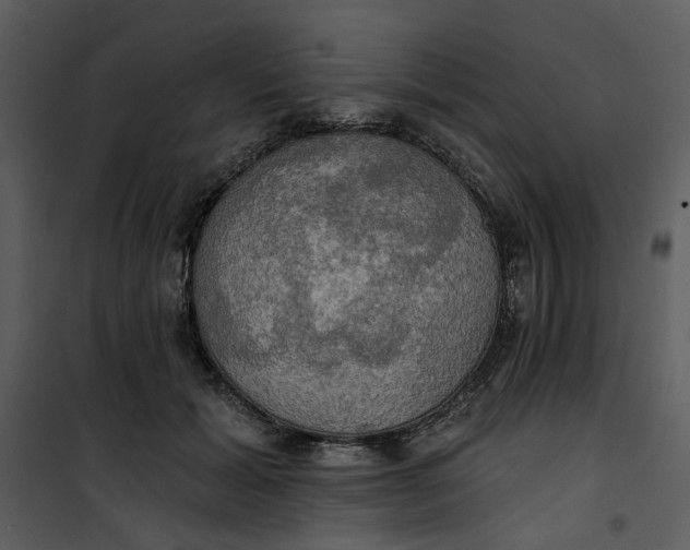 X0000101160605200807181400