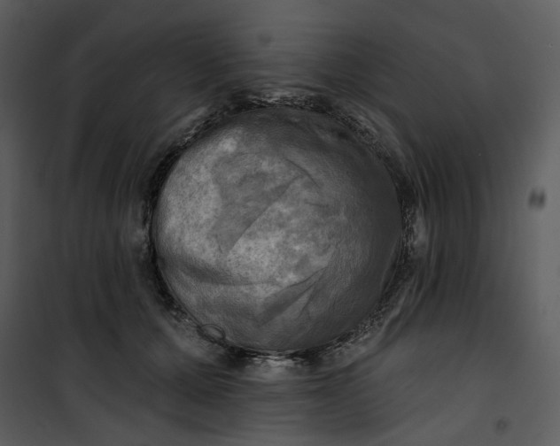 X0000101160607200807181400