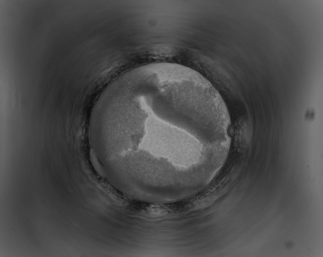 X0000101160608200807181400
