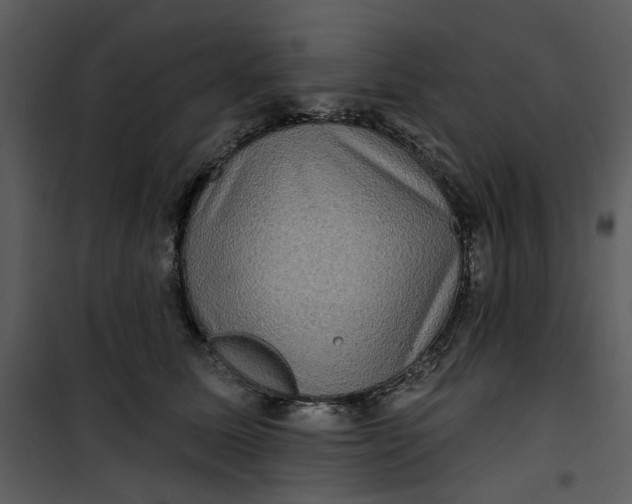 X0000101160611200807181400