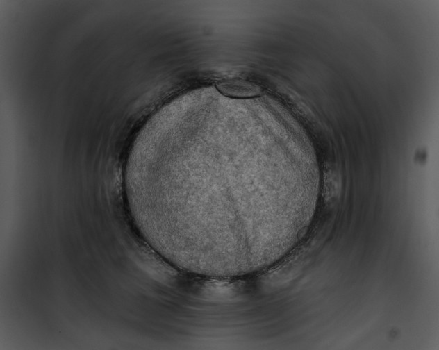 X0000101160613200807181400