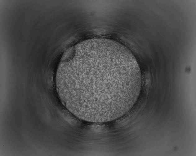 X0000101160615200807181400