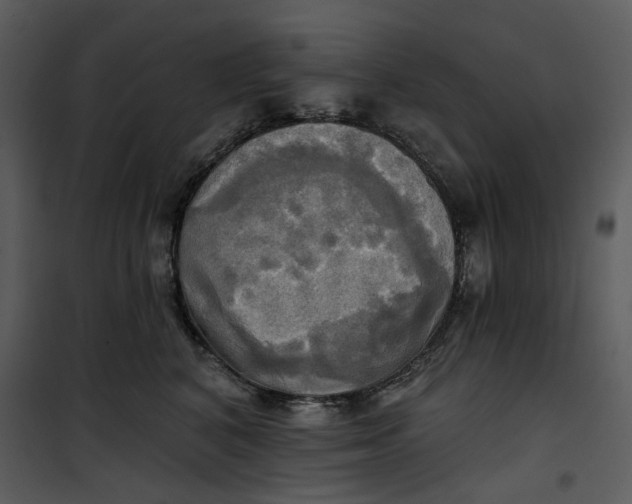 X0000101160616200807181400