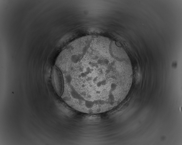 X0000101160619200807181400