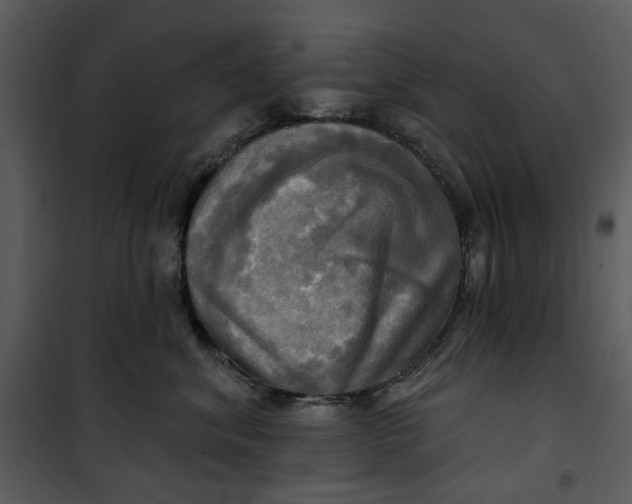 X0000101160620200807181400