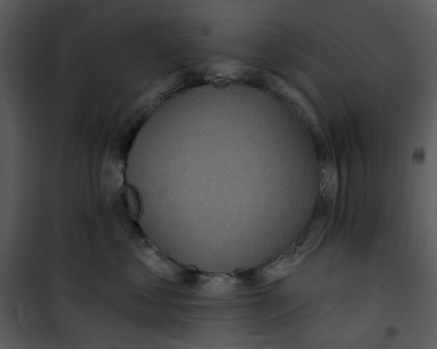 X0000101160621200807181400