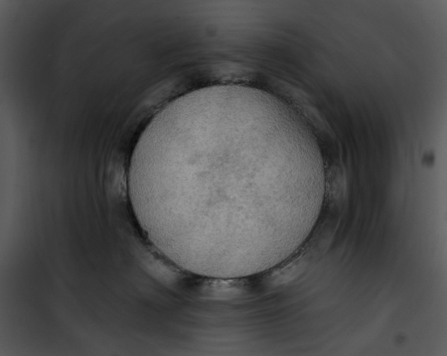 X0000101160622200807181400