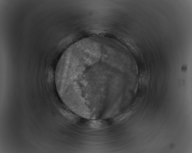 X0000101160623200807181400