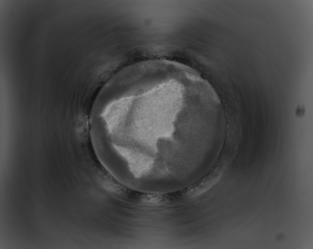 X0000101160624200807181400
