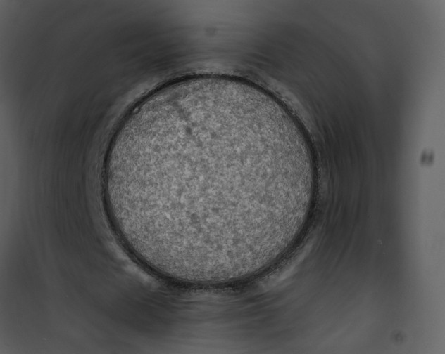 X0000101160625200807181359