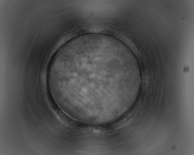 X0000101160626200807181359