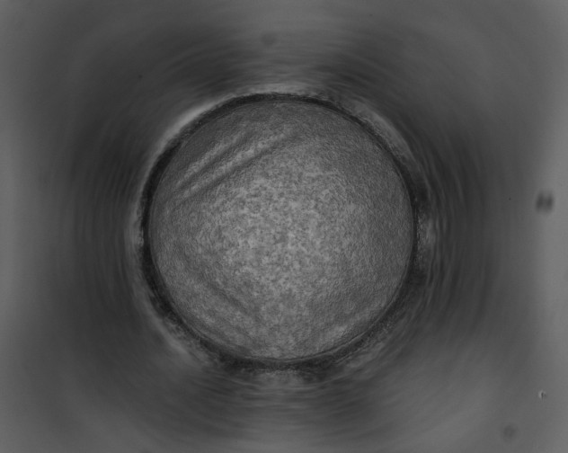 X0000101160628200807181359