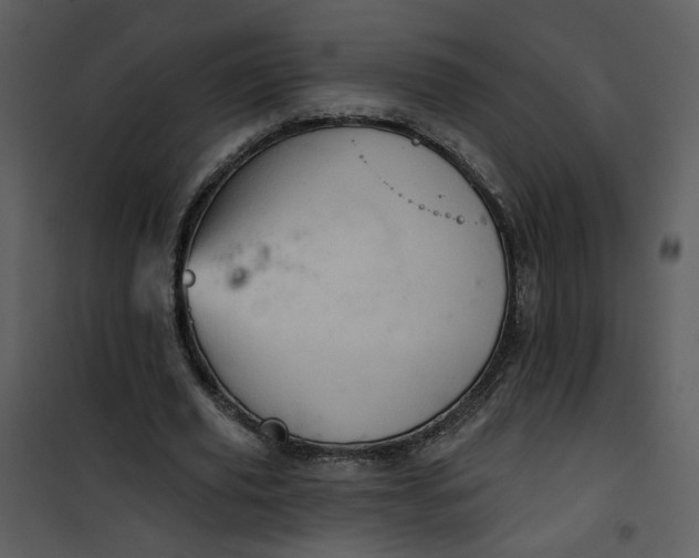 X0000101160629200807181359