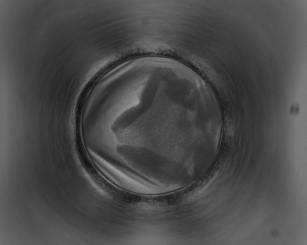 X0000101160630200807181359