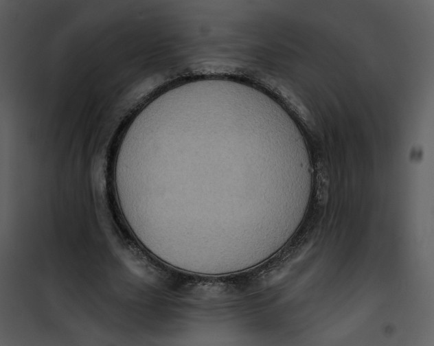 X0000101160631200807181359