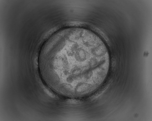 X0000101160633200807181359