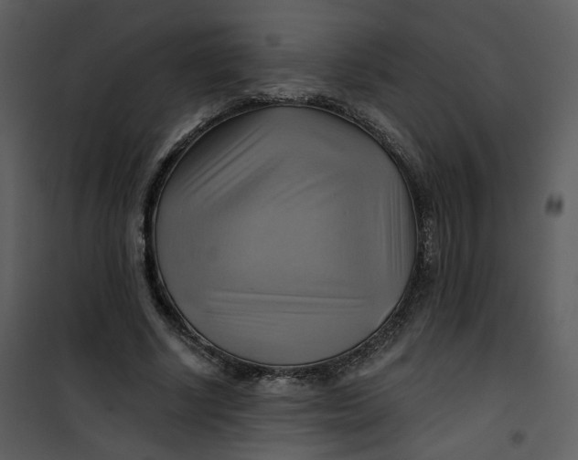 X0000101160634200807181400