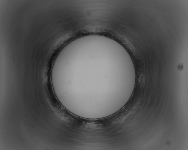 X0000101160635200807181400