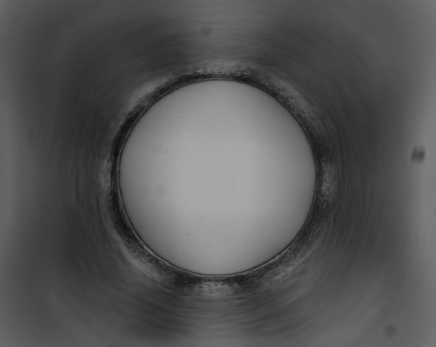 X0000101160636200807181400