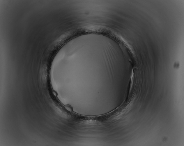 X0000101160637200807181400