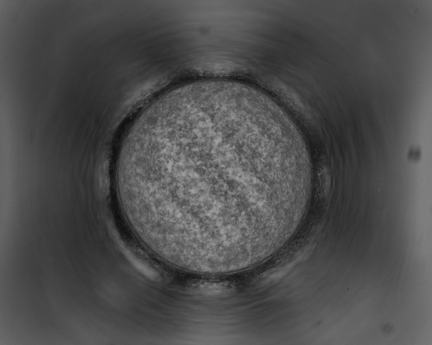 X0000101160638200807181400