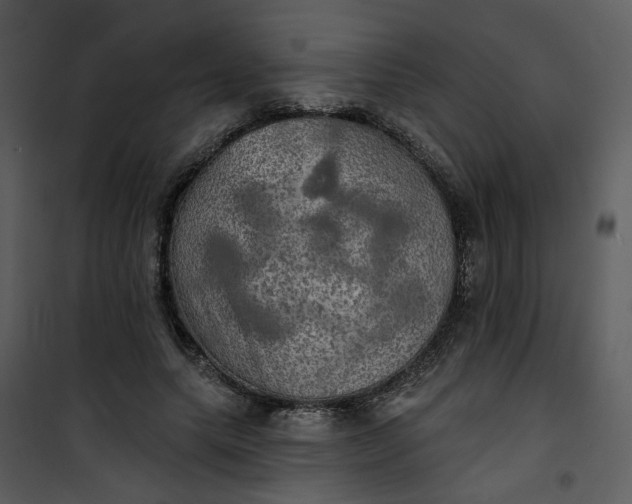 X0000101160639200807181400