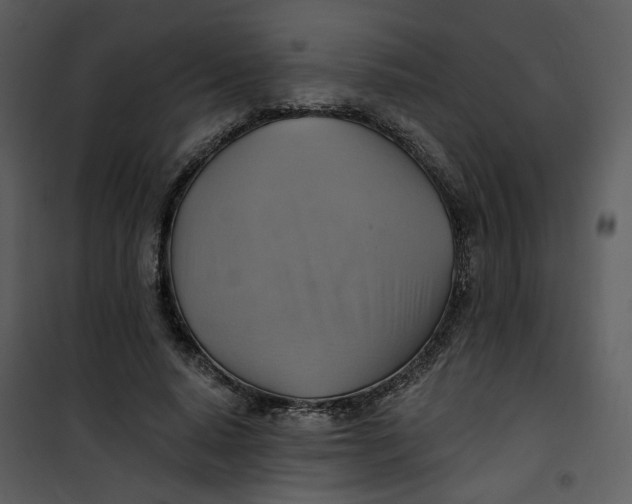 X0000101160640200807181400