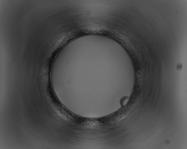 X0000101160642200807181400