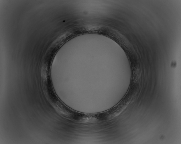 X0000101160644200807181400