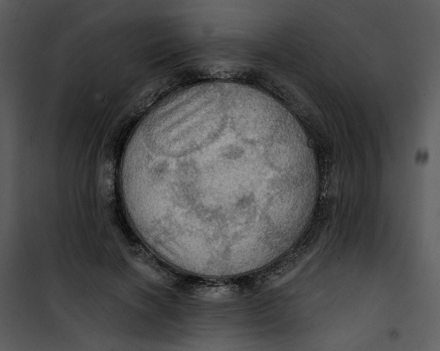 X0000101160646200807181400