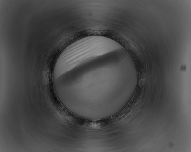 X0000101160647200807181400