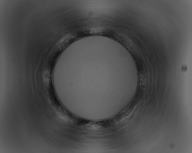 X0000101160648200807181400